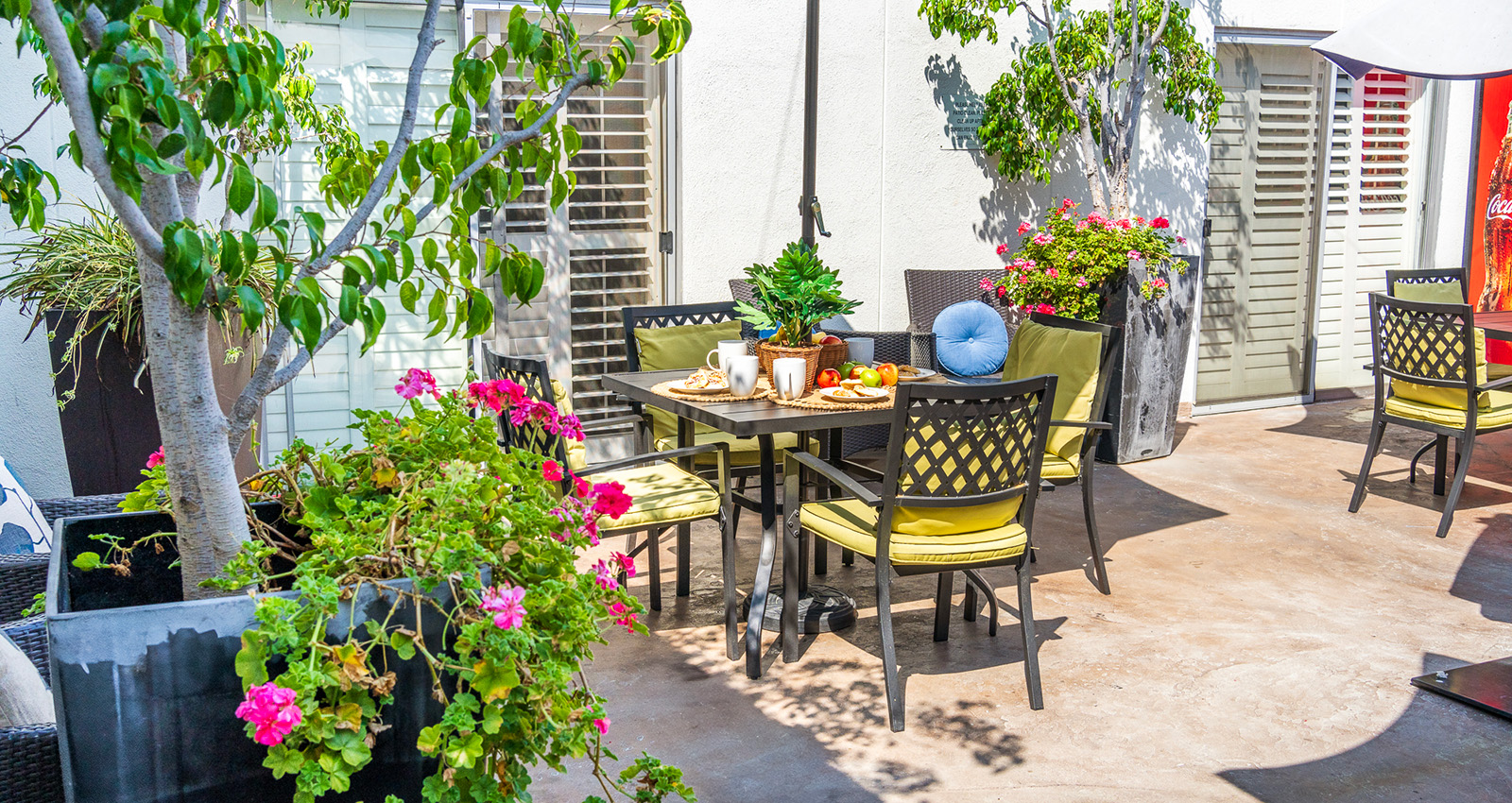 patio and red flowers